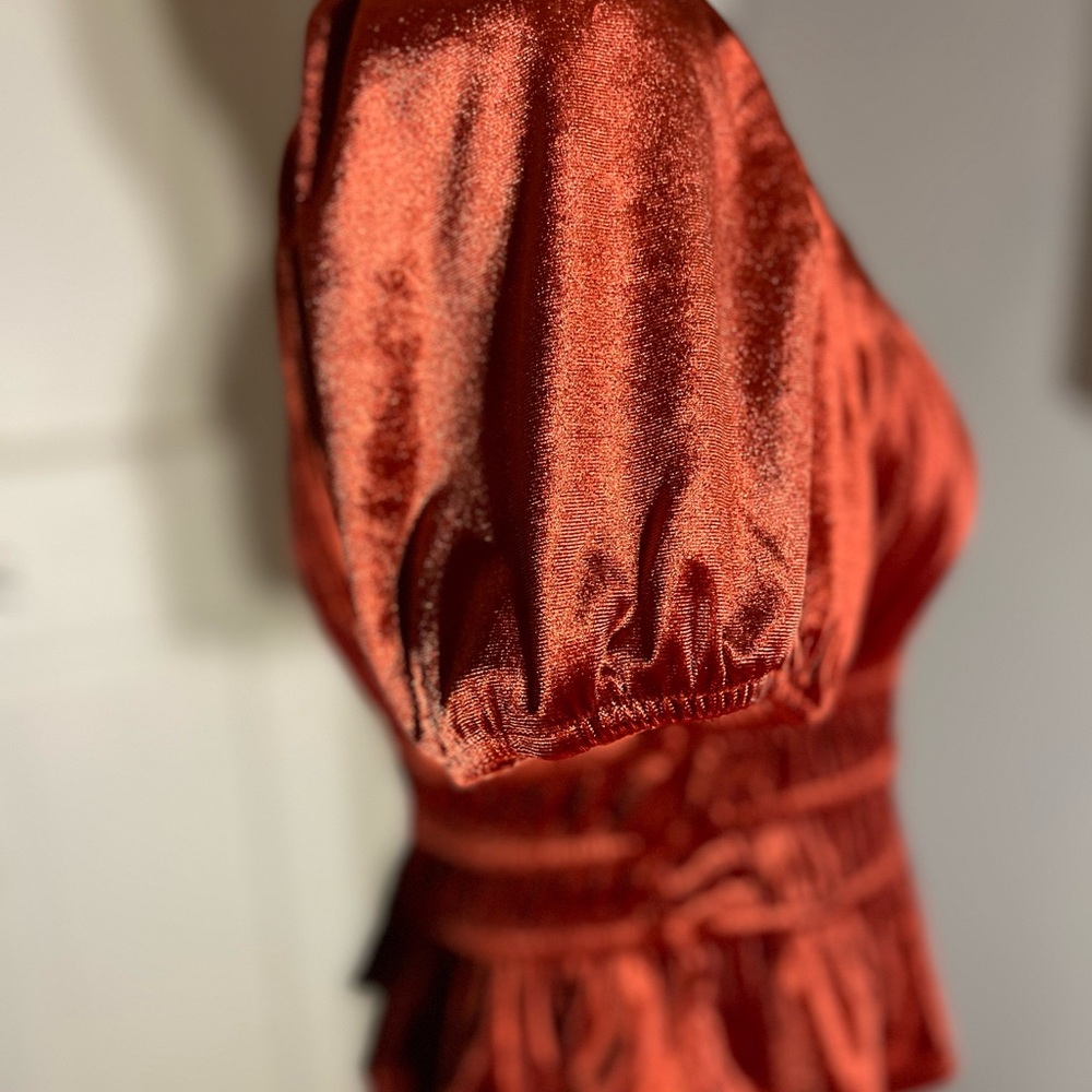 ROW A Women’s Burnt Velvet Tiered Hem Stretch Crop Top Shirt Medium Nordstrom - Picture 11 of 12